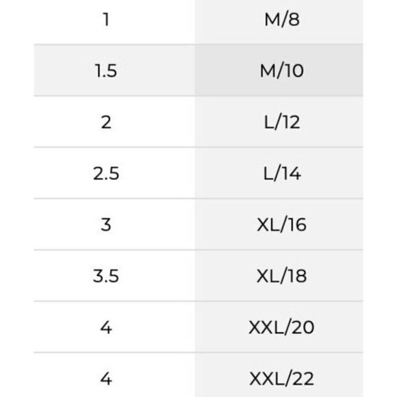 Chicos Animal Print Top XL Brown Sheer Pintuck Neutral Minimalist Resort Classic - Picture 13 of 13